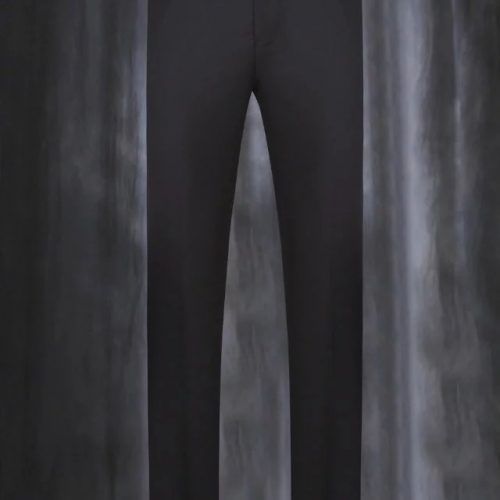 热销西裤118款(310E)