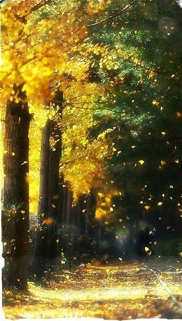 8f376e803f98c6787a9ff223d6b1510611c433a916d80-do46of_fw658