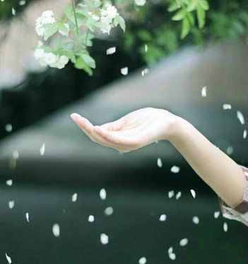 e386d0a914d3bdef6ecaa89638cc903f941c1bd96704-fmjqs2_fw658